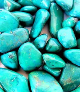 6x grüne Howlith gefärbte Trommelsteine 15-20 mm Reiki Heilkristalle beruhigend - Bild 1 von 1