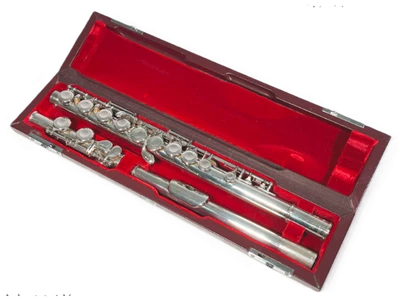 Flauta Pearl PF-661E junta de cabeza plateada usada con estuche rígido Foto 1 de 4