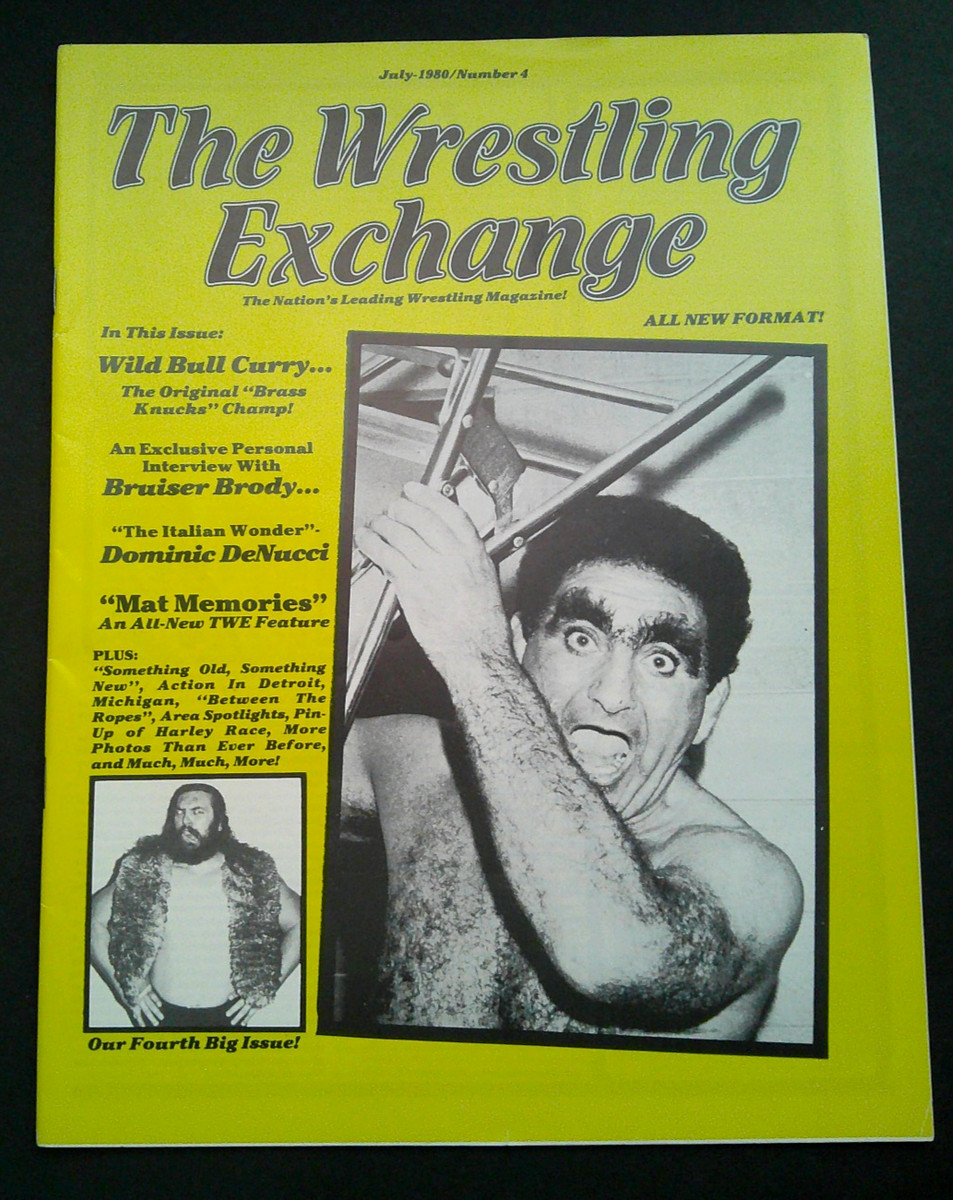 Bruiser Brody アクションフィギュア 未開封 Bruiser Brody アクションフィギュア 未開封 Bruiser Brody
