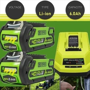 40V 6.0Ah Battery / Rapid Charger For Greenworks 40 Volt Lithium 29482 29252 USA - Picture 1 of 15