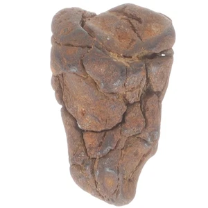 Meteorito Ciencia Muestra Meteoros Rocas Niños Adornos Científicos - Imagen 1 de 12