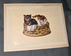 Vintage Victorian trade card 2 Cats cat in Basket antique Kitten - Picture 1 of 2