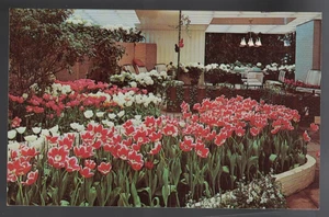 PC-4464**Vtg. PC ** Spring Flower Show, Schenley Park ** Pittsburgh, PA - Bild 1 von 2