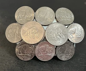 Bear Quarter & Buffalo Nickel Gürtelschnalle - Bild 1 von 2