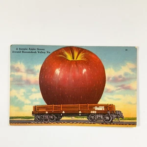 Postal Shenandoah Valley VA Gran Manzana en Tren Virginia Exagerada - Imagen 1 de 7