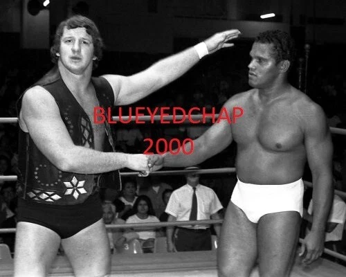 FOTO DE LUCHA LIBRE 8 X 10 DE TERRY FUNK & VICTOR RIVERA NUEVA EN CAJA Foto 1 de 1