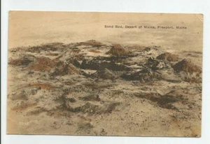 Sand Bed Desert of Maine Freeport ME Postcard Vintage Hand Colored Unposted - Picture 1 of 2