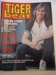 Shaun Cassidy, Leif Garrett, Donny Osmond - Tiger Beat Magazine 1978 - Picture 1 of 1