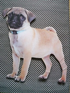 Papp - Mops Supersüss Ca : 28 x 29 cm - Bild 1 von 5