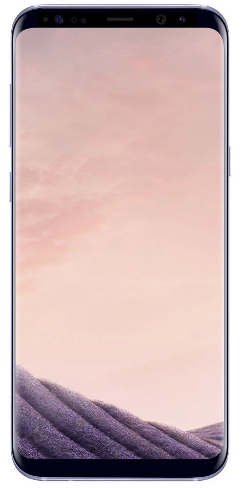 Samsung Galaxy S8 Plus - 64 GB - Orchid Gray (Unlocked)