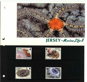Jersey - "CRAB ~ JELLY FISH ~ MARINE LIFE " MNH Stamp Presentation Pack 1994 - Bild 1 von 2