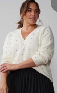 New York & Company Ivory V Neck Rhinestone Sweater NWT FABULOUS! Holiday! - Picture 1 of 7