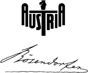 Pianoforte Bosendorfer, #500860 - nero massiccio, autentica decalcomania tavola armonica Bösendorfer - Foto 1 di 2