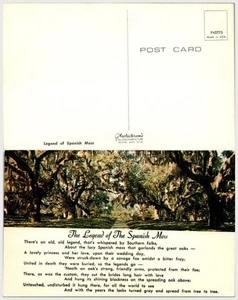Southern Gothic Moss Poem Postcard Plastichrome P43775 Mid-Century - Picture 1 of 1