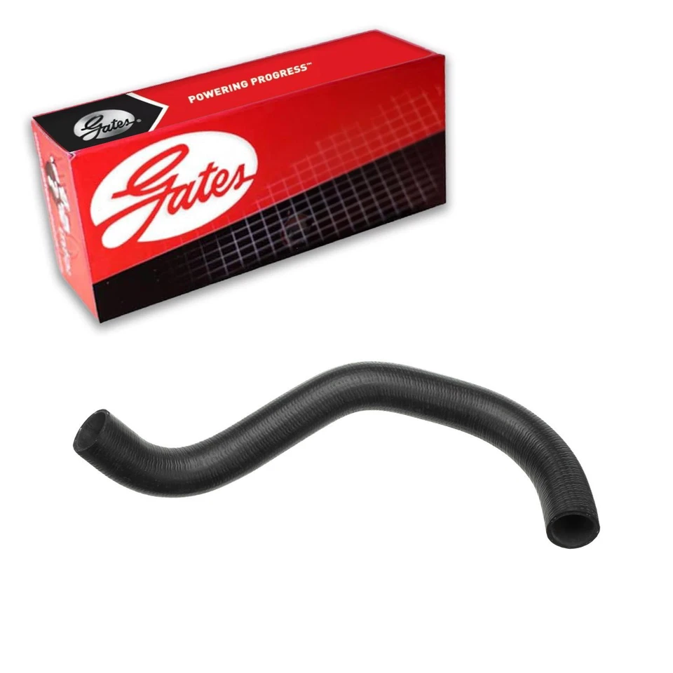 Manguera de refrigerante de radiador Gates superior para Ford F-150 1980-1984 Foto 1 de 3