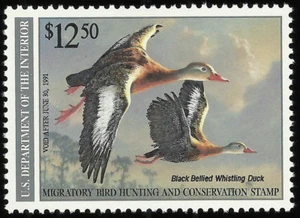 Scott RW57, sello de caza de aves migratorias de pato vientre negro: EF/excelente centrado - Imagen 1 de 2