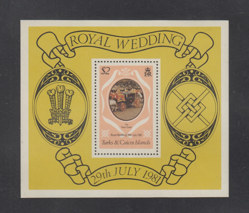 ISLAS TURCAS Y CAICOS: 1981 - HOJAS DE RECUERDO MNH - SCOTT # 489 Foto 1 de 1