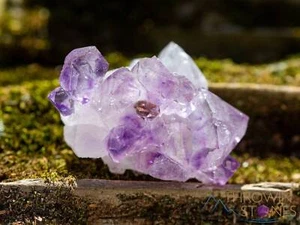 Racimo de cristal crudo AMATISTA - Piedra de nacimiento, regalo único, decoración del hogar boho, 39954 - Imagen 1 de 10