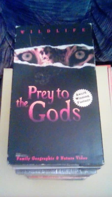 Prey to the Gods! (1996) VHS animal predators in Africa chase catch kill feeding - Image 1 of 2