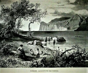 1876.XILO:OLIVENHAIN AM GARDASEE IN DER NÄHE VON TORBOLE TRENTO..TRENTINO.ITALIEN.ETNA. - Bild 1 von 1