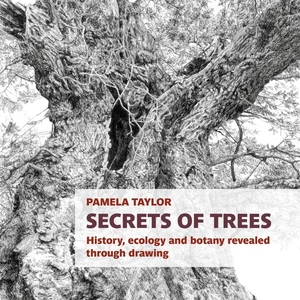 Secrets of Trees History ecology and botany revealed through drawing Botanica... - Picture 1 of 1