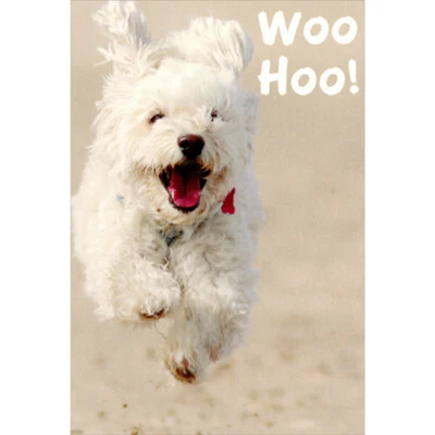 RECYCLED PAPER GREETINGS Woo Hoo Excited Running White Dog Cute Funny / Humorous Birthday Card