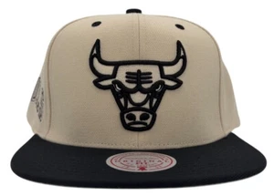 Mitchell & Ness NBA Chicago Bulls Mütze Evergreen cremefarben & schwarz Druckknopflasche - Bild 1 von 13