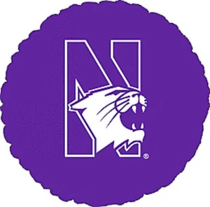 Northwestern Wildcats NCAA 18'' Balloon Birthday Party Decorations - Picture 1 of 1