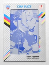 2013-14 KHL Gold Collection Printing Plate #SST-C08 VADIM BERDNIKOV 1/1