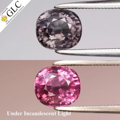 💎 GLC CERTIFICADA 2,08ct Almofada Mudança de Cor Natural Granada - Não Aquecida, Pedra Preciosa - Imagem 1 de 4