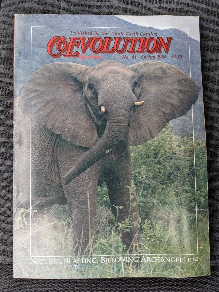 CoEvolution Quarterly No. 41 Spring 1984 "Elephants, Qadhafi, Autopsies"  - Image 1 of 1