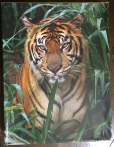 Springbok 500 Piece Puzzle "On the Prowl" 18" x 23.5" used once CLASSIC 2003 - Picture 1 of 4
