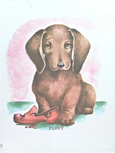 Charming Dachshund Puppy Eating Shoe, Vintage Art Print, 1959, The Rutherfords - Picture 1 of 6
