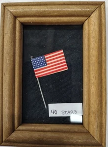 Antike 40 Sterne Flagge Stecknadel - Bild 1 von 6
