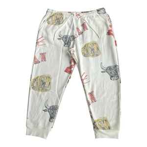 Air Jordan Brooklyn Chicago Bulls Nike Fleece Hose Gr. 3XL FN4547-133 Neu mit Etikett - Bild 1 von 6