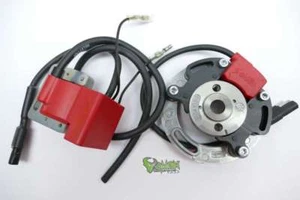Digitale Selettra KZ Zündung Zündapp CS25 Innenrotorzündung Dmon-Racing - Picture 1 of 1