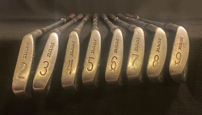 Vintage RAM Custom Registered Men's Right Handed Golf Iron Set 2-9 - Image 1 of 4