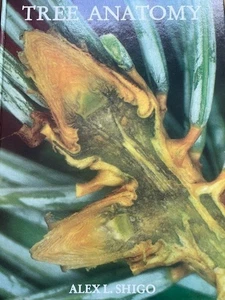 Dr. Shigo's Tree Service Alex Shigo 1994 Hardcover Arboriculture Diseases Care - Picture 1 of 4