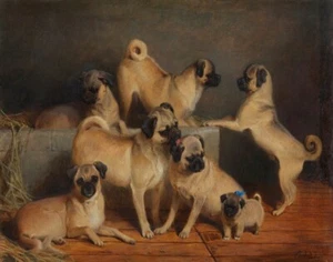 Charles Burton Barber A Family Of Pugs Canvas Print 16 x 20 - Picture 1 of 4