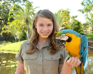Imagen BINDI IRWIN #3590 bailando con las estrellas - Imagen 1 de 1