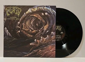Fetid - Steeping Corporeal Mess - Vinyl LP - Near Mint - Picture 1 of 12