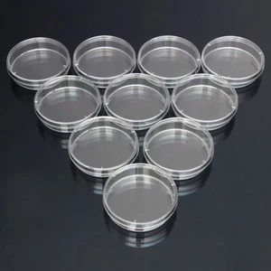 1 Pack Of 10PCS Transparent Petri Dishes 60 x 15 mm For Lab Plate Yeast  #A6-39 - Bild 1 von 4
