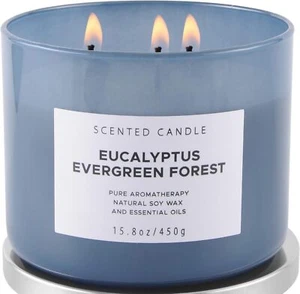 Eucalyptus Evergreen Forest Luxury 3 Wick Winter Pine Candle | Mens Candles - Picture 1 of 9
