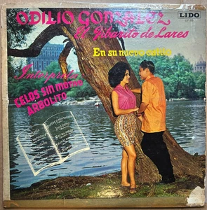 Odilio Gonzalez El Jibarito de Lares "Interpreta Celos Sin Motivo "Record LP - Imagen 1 de 4
