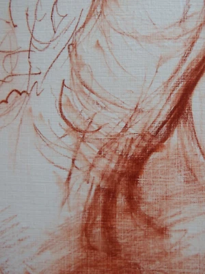 Hand Drawn Sanguine Red Pencil Drawing NSFW Nude Male Penis Illustration Art - Image 1 of 4