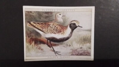 J. PLAYER. 1928.  NO 16.   GAME BIRDS AND WILD FOWL,   GOLDEN  PLUVER. - Image 1 of 2