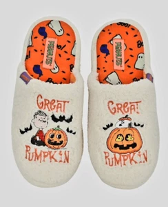 NWT PEANUTS UNISEX CHARACTER SLIPPERS - Picture 1 of 5