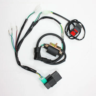 Complete Kick Start Engine Wire Wiring Harness Loom Kit 125cc PIT PRO Dirt Bike - Image 1 of 4