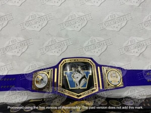Washington Huskies Championship Belt Adult Size 2mm Brass - Picture 1 of 5