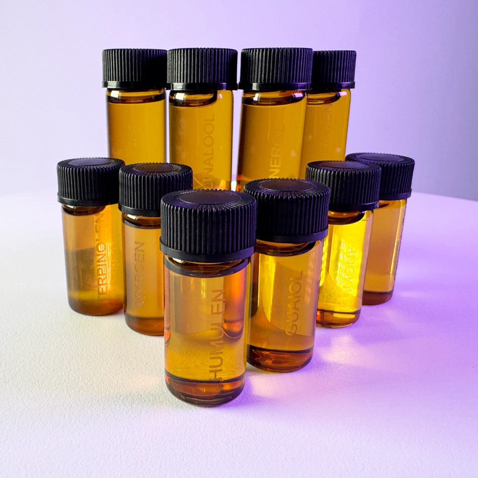 GEBO GEFTI 10er Terpen Set | Reine natürliche Terpene in 3-ml-Glasflaschen